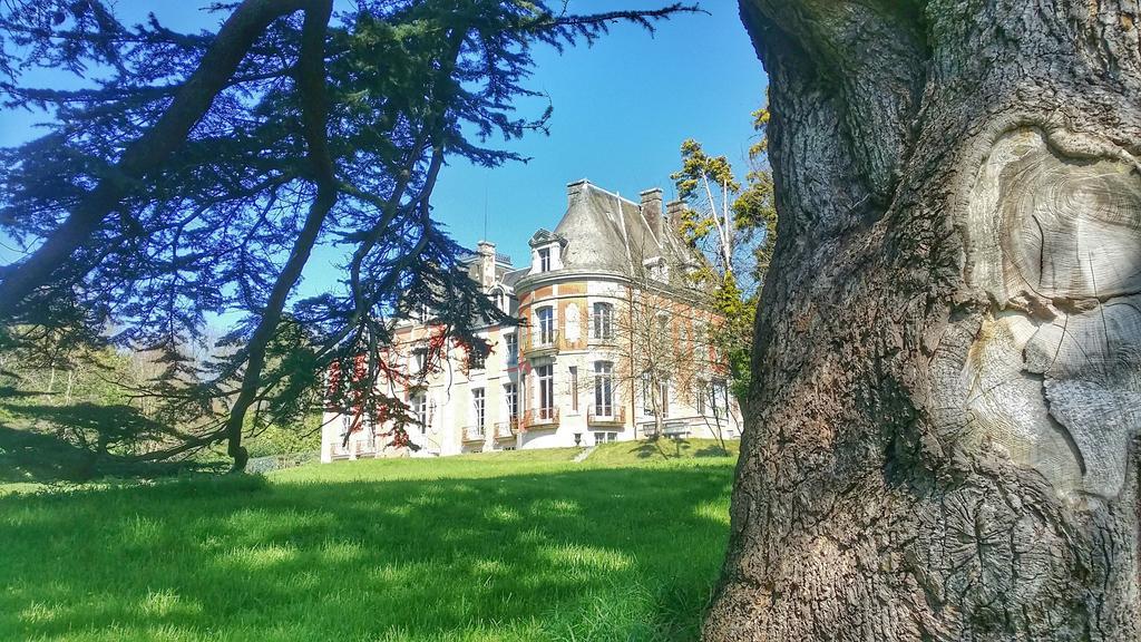 Bed & Breakfast Chateau De Chantore Bacilly